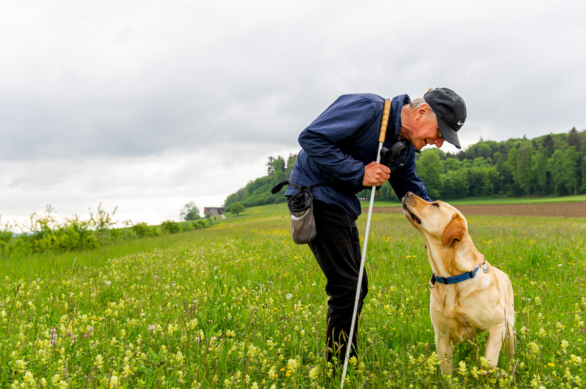 Blindenhundeteam in Frühlingswiese
