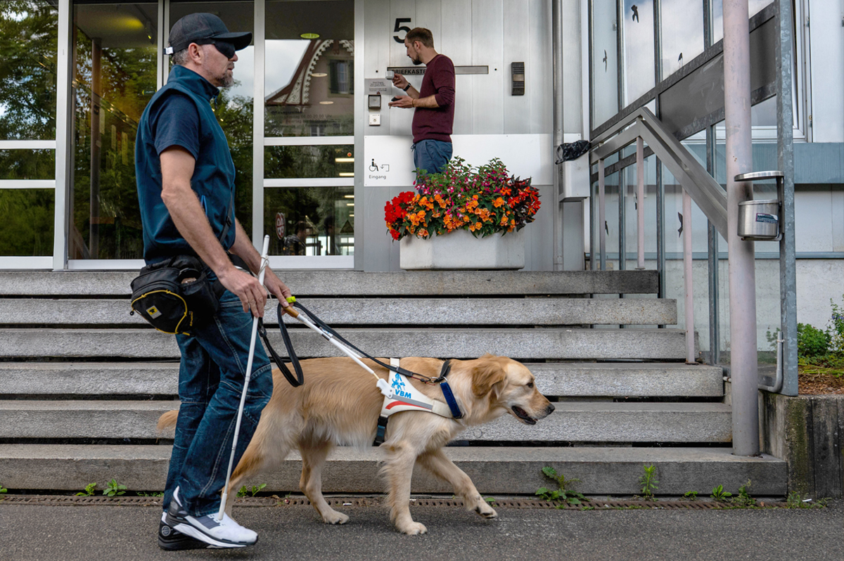 Instructeur de chiens guides d