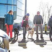 JunghundetrainerInnen stehen am Fussgängerstreifen.