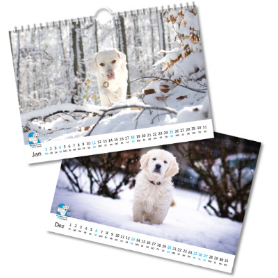 Kalenderblätter Januar und Dezember