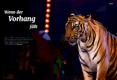 Titelblat Fokus "Wenn der Vorhang fällt"
