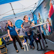 Botschafterhundeteams warten auf Besuchende.